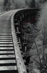 gal/bw102/_thb_curve_in_tracks_big.jpg