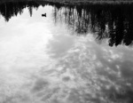 gal/bw103/_thb_duck_reflection_pond_bw.jpg