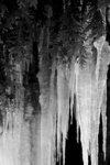 gal/bw103/_thb_ice_staglatites_ferns2.jpg