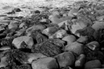 gal/bw103/_thb_morning_light_rocks_ocean_bw.jpg