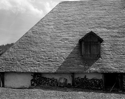 gal/bw103/switzerland_shingled_roof1_bw.jpg