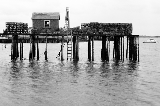 gal/bw103/warf_bw.jpg