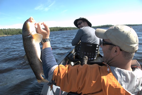 gal/bwca2009/DSC_3946.jpg