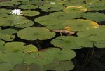 gal/bwca2009/_thb_DSC_4034.jpg