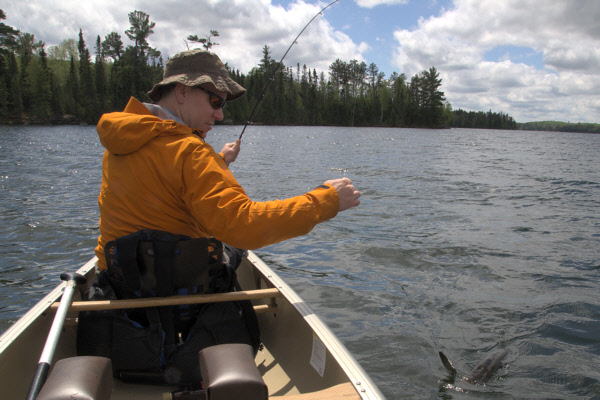 gal/bwca2011/KDV_1276.jpg