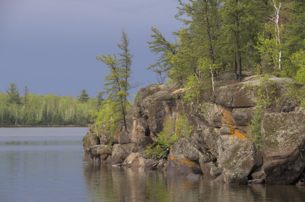 gal/bwca2011/KDV_1296.jpg