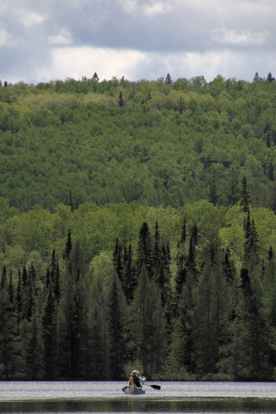 gal/bwca2011/KDV_1346.jpg