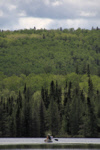 gal/bwca2011/_thb_KDV_1346.jpg