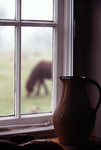 gal/devon/_thb_horse_in_the_window.jpg