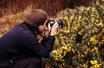 gal/devon/_thb_rich_photo_yellow_plants.jpg