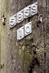 gal/devon/_thb_telephone_pole_numbers.jpg