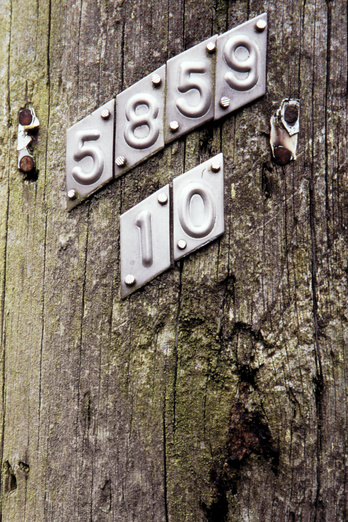 gal/devon/telephone_pole_numbers.jpg