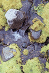 gal/keb_lofoten/_thb_waters_flowing_moss.jpg