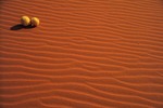 gal/patterns/_thb_sand_still_life_nimb.jpg