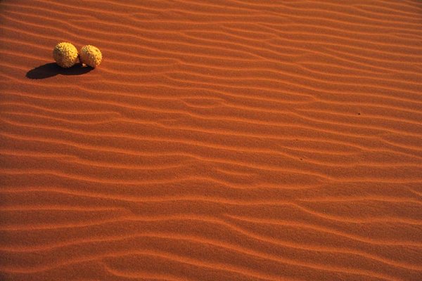 gal/patterns/sand_still_life_nimb.jpg