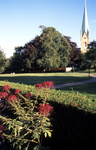 gal/sweden_land_sea/_thb_catherdral_flowers.jpg