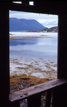 gal/windows2/_thb_view_out_abandoned_shed.jpg