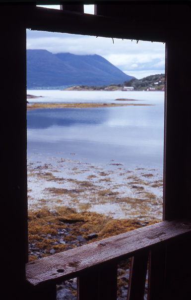 gal/windows2/view_out_abandoned_shed.jpg